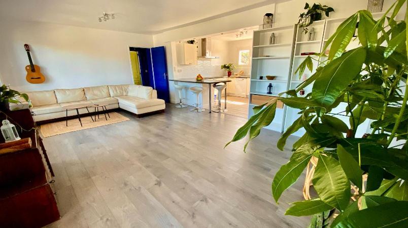 Sewa Surf House 10Min De Capbreton Hossegor Hotel Benesse-Maremne Exterior photo