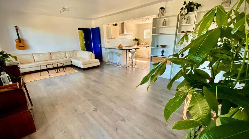 Sewa Surf House 10Min De Capbreton Hossegor Hotel Benesse-Maremne Exterior photo